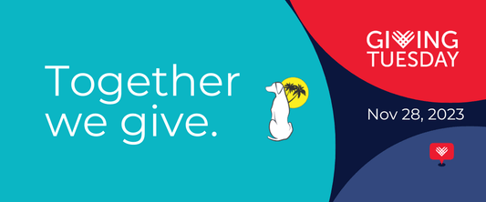 SoCal Weimaraner Rescue Celebrates GivingTuesday 2023 - SoCal Weimaraner Rescue