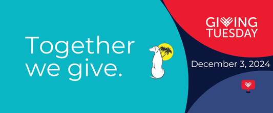 SoCal Weimaraner Rescue Celebrates GivingTuesday 2024 - SoCal Weimaraner Rescue