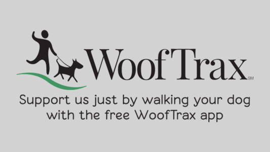 Join SoCal Weimaraner Rescue on WoofTrax! - SoCal Weimaraner Rescue